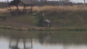 поимка форели на спиннинг