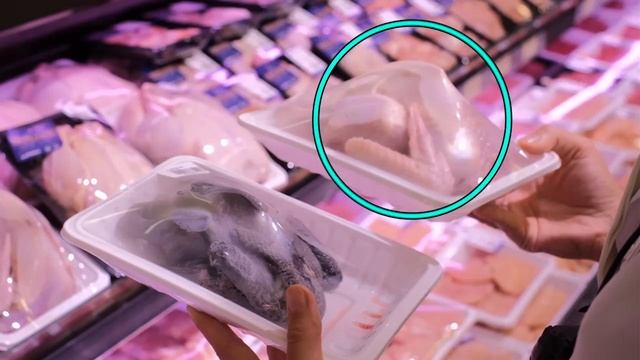 English File 5th Intermediate 1A  Vocabulary