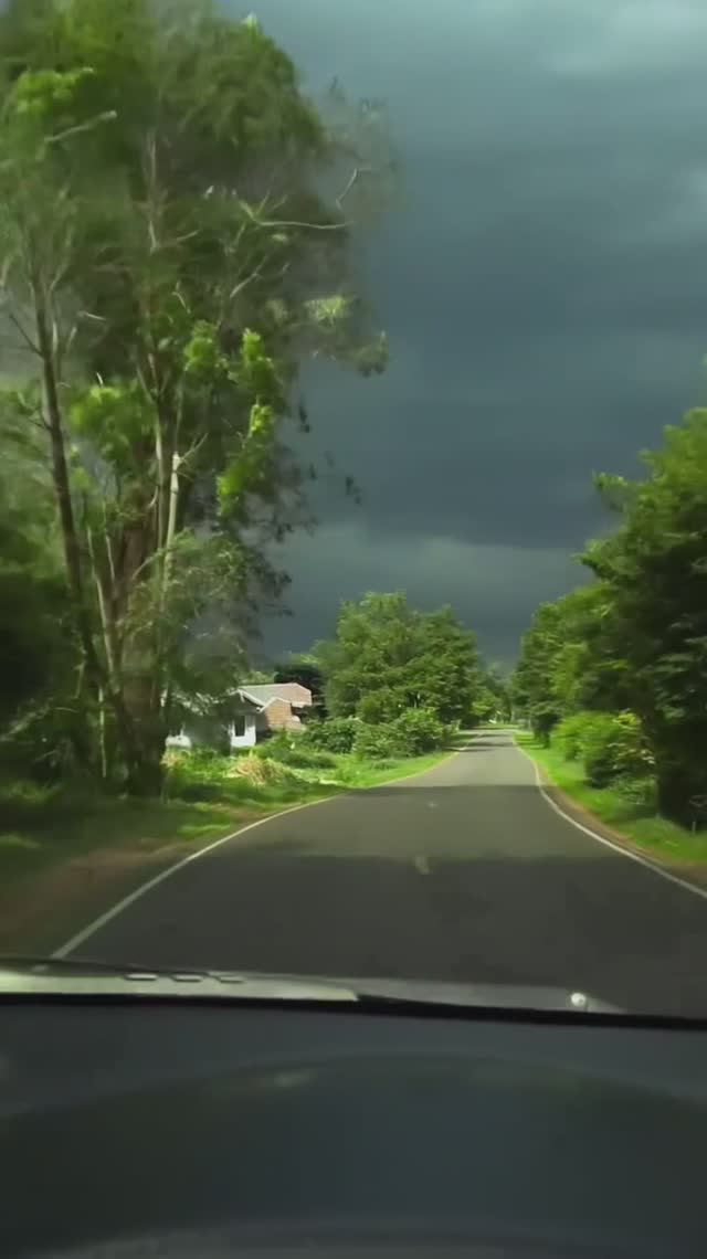 Перед бурей... Дзен