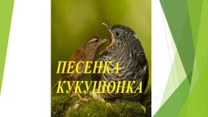 ПЕСЕНКА КУКУШОНКА для детей
