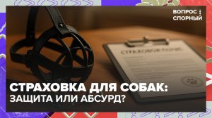 Обязательная страховка для владельцев собак: защита или абсурд? | Вопрос спорный — Москва 24