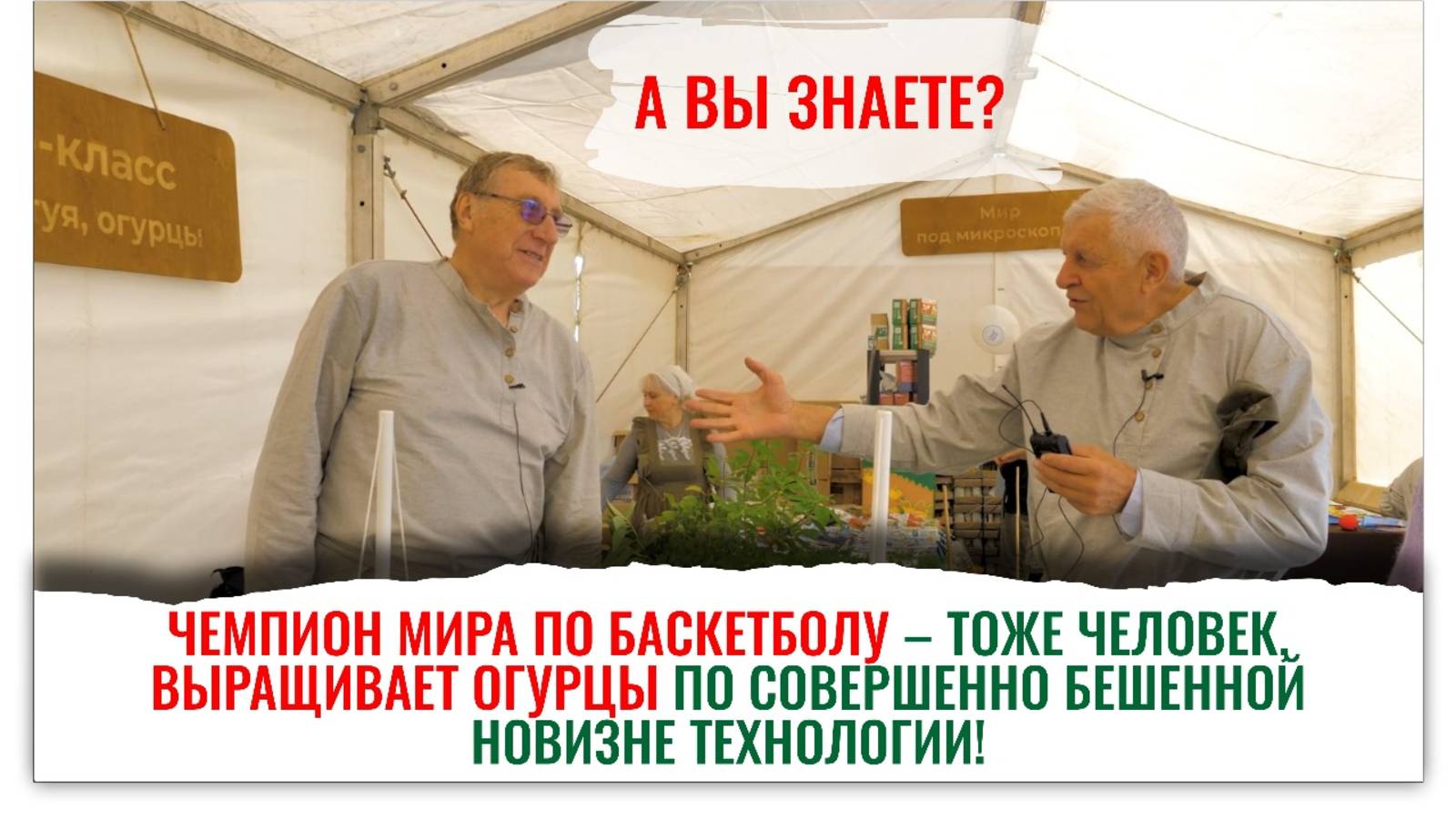 Зимний, хрустящий огурец прямо с подоконника. Легко вырастить!