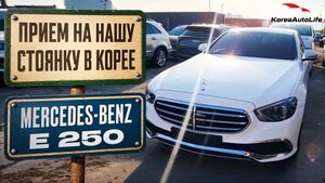 Прием Мercedes-Benz E 250 Exclusive на нашу стоянку в Корее
