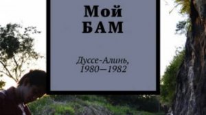 Вечером, возвращаясь домой, я обратил внимание, что из моей трубы не идет дым. Наверное, печь...