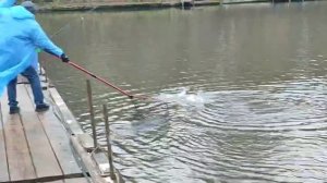 Снова на резину