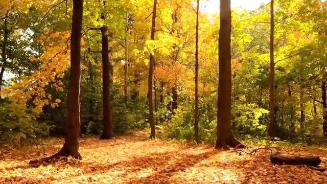 КОМЕДИЯ РОК  Бессмысленно ли это всё!!!