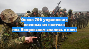 Около 700 украинских военных из «котла» под Покровском сдались в плен