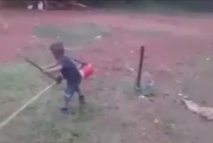 Когда купил косилку по акции