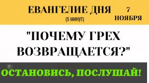 Евангелие дня Последнее хуже первого. О чем предупреждает Христос 7 ноября ((5 минут)