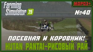🟢Farming Simulator 25🟢. Карта  Hutan Pantai-Рисовый рай,  №40 Посевная !