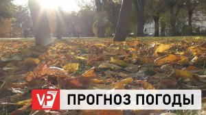 ПРОГНОЗ ПОГОДЫ ПО ВОЛГОГРАДУ И ОБЛАСТИ С 7 ПО 12 НОЯБРЯ