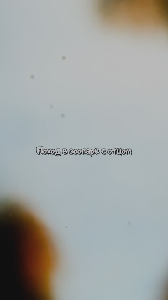 Поход в зоопарк с отцом