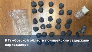В Тамбовской области полицейские задержали наркодилера