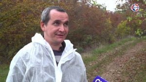 В Севастополе стартовала плановая кампания по профилактике бешенства среди диких животных