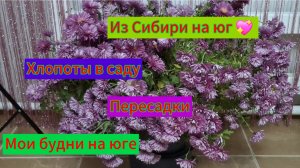 06-11-2025 Переезд из Сибири на юг 💖//Наслаждаемся южной жизнью☀️//Работаем в саду/Тепло по летнему