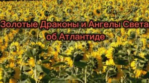 Золотые Драконы и Ангелы Света об Атлантиде 12.10.2025г (164 Послание)