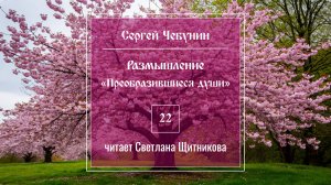 Размышление 22 (автор Сергей Чебунин, читает Светлана Щитникова)