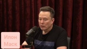 Новое интервью Илона Маска Джо Рогану