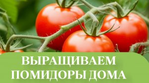 ГОРШОК С ВЛАГОЙ,СВОИМИ РУКАМИ