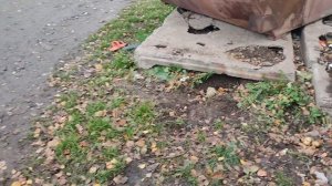 Находки на мусорках города #16