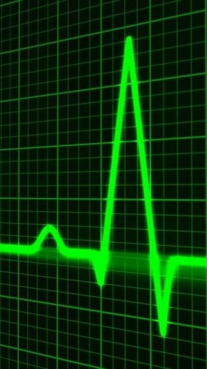 творческие  мгновения