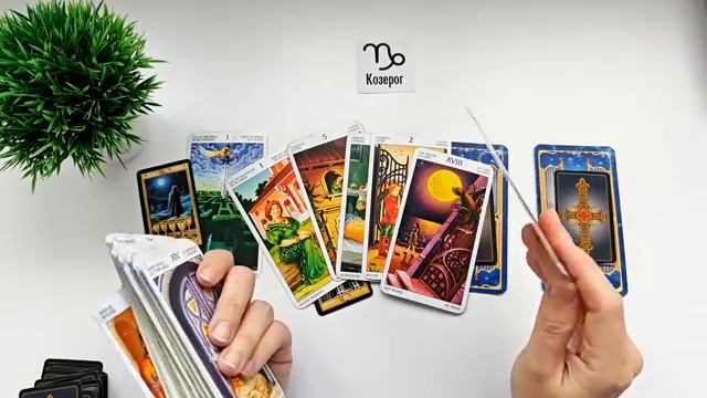 КОЗЕРОГ ЗИМА 2025 🌞 таро прогноз “открытые двери”/гороскоп на декабрь 2025/ январь 2026/ февраль