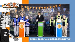 Полосатая зебра. Сезон 2025. 16-й отборочный тур.