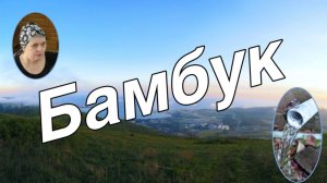 Бамбук рассказ для детей и подростков