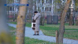 Наша традиционная рубрика «Картинка дня»