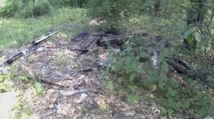 Аська 250.Поиск.