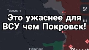 ТАМИР ШЕЙХ / ЭТО УЖАСНЕЕ ДЛЯ ВСУ ЧЕМ ПОКРОВСК! сводки новости