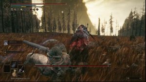 Elden Ring Shadow of the Erdtree - Командующий Гай. Первые Пытки