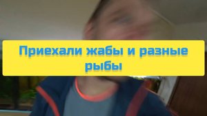 ПРИЕХАЛИ ЖАБЫ И РЫБЫ