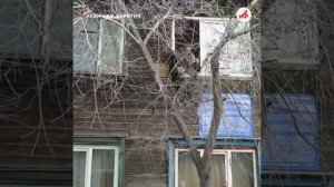 Услышал отчаянный крик. Обычный полицейский из Улан-Удэ спас из огня пять человек