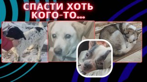 Шанс выжить хоть кому-то...