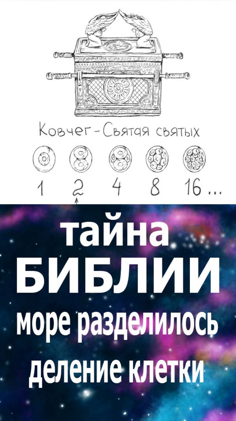 Тайна Библии: море разделилось - это деление клетки #библия#бог#эзотерика#