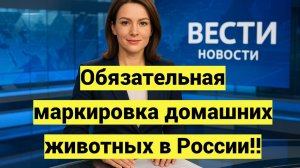 Обязательная маркировка домашних животных в России