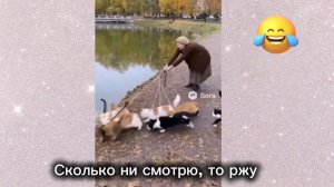 Смотреть до конца,ржач обеспечен. 1. Наши питомцы спасают нас. 2 😃😃😃 Бабки с приветом.