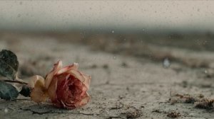 Радуга 🌈дугою.