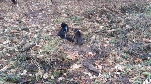 На прогулке.