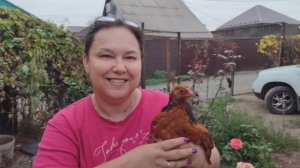 Сбылась наша мечта! 👍 Баня на даче. Потихоньку благоустраиваем участок.