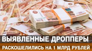 Выявленные дропперы раскошелились на 1 млрд рублей