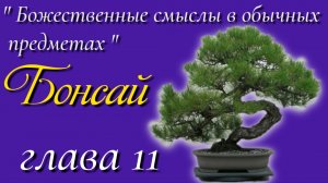 11) Бонсай