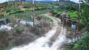 NEW! BRAIN TIME.  75 НЕВЕРОЯТНЫХ МОМЕНТОВ, СНЯТЫХ НА ЗАДНЕМ ДВОРЕ