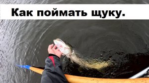 Три фактора успешного твичинга.