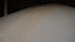 Экспертное мнение. Выпуск 137.