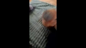 капибара попала в радужные друзья 1 в реальной жизни, 1 часть