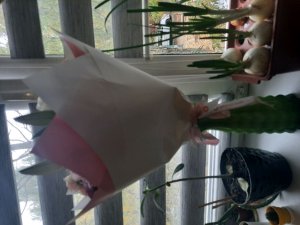 обзоры на вещи