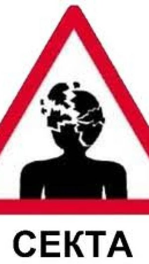 2025. СЕКТА ЧАТБОТОВ ИИ В США: ПОСЛЕДСТВИЯ ВЛИЯНИЯ И УГРОЗЫ. Мнение А.РОЖИНЦЕВА