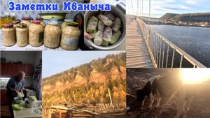 Работа дома не кончается, голубцы от Иваныча